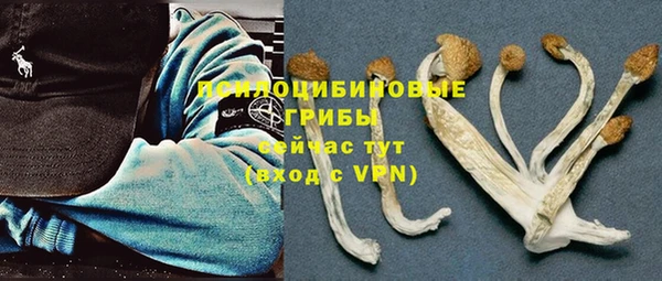не бодяженный Абаза