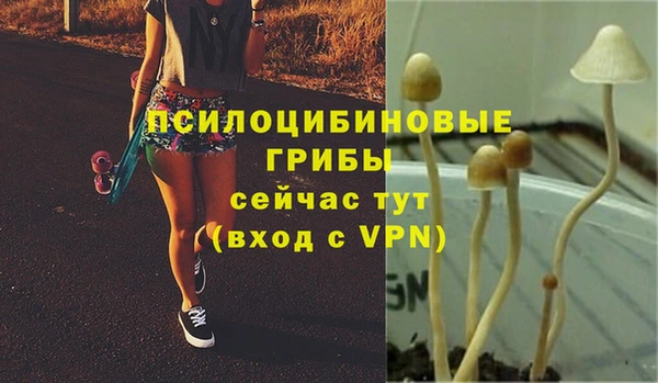 спиды Абинск
