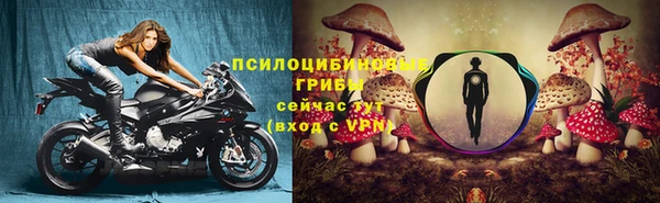 спиды Абинск