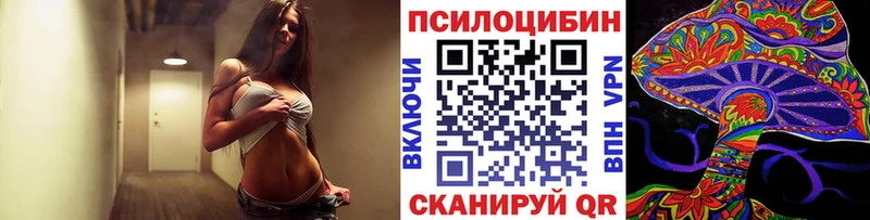 Псилоцибиновые грибы Psilocybe Жигулёвск